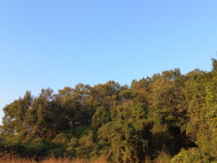사진 04