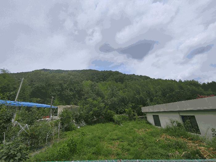 사진 02
