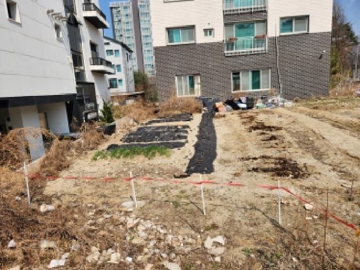 사진 01