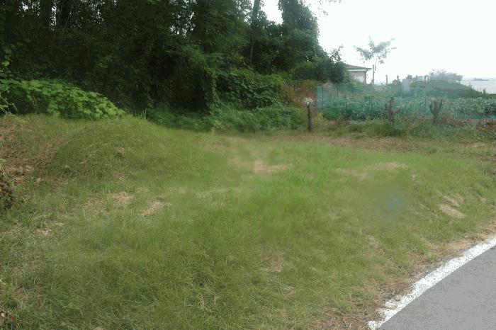 사진 02
