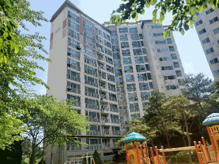 사진 01