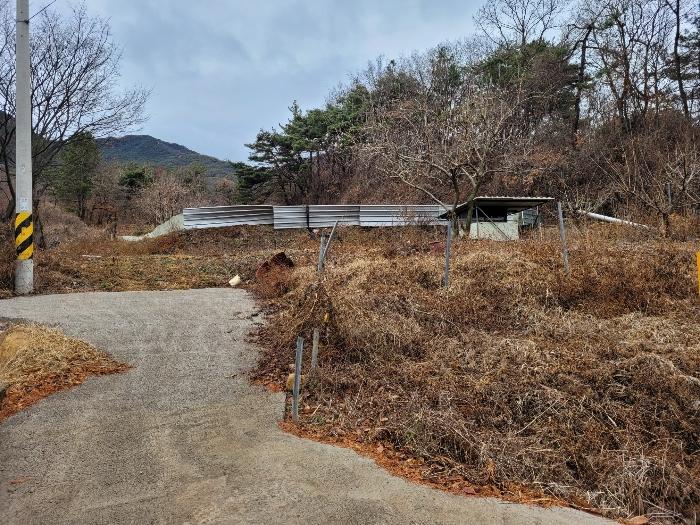 사진 02