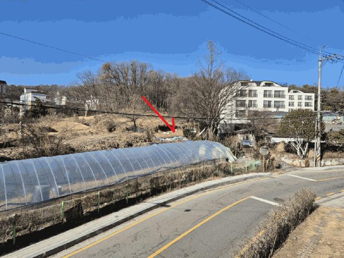 사진 03