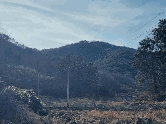 사진 08