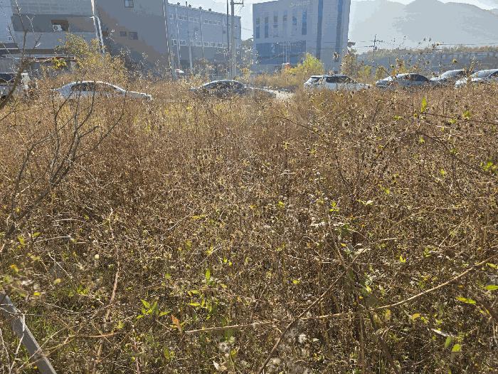 사진 06