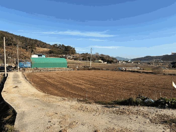 사진 05