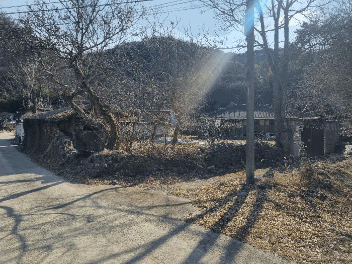 사진 05