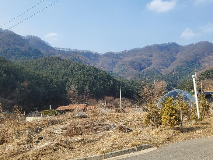 사진 08