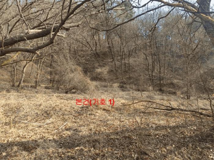 사진 06