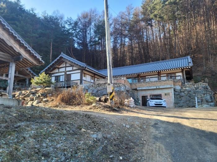 사진 03
