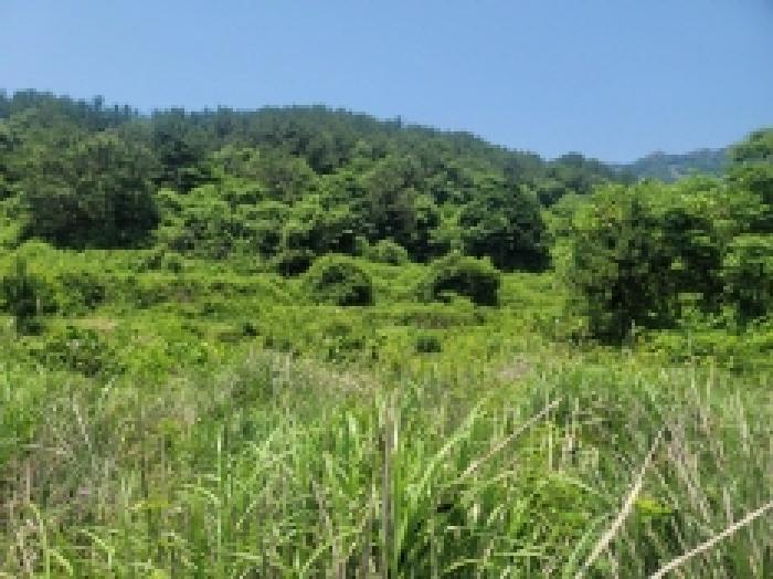 사진 06