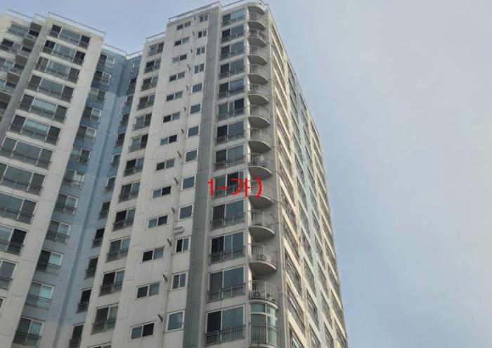 사진 03