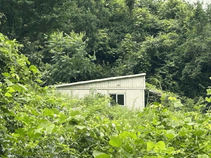 사진 05