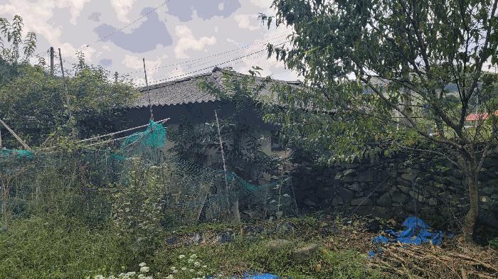 사진 06