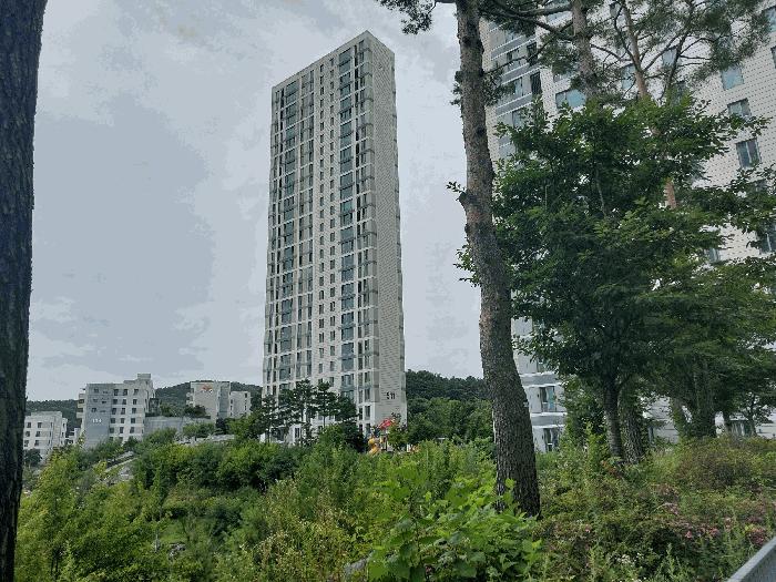 사진 04