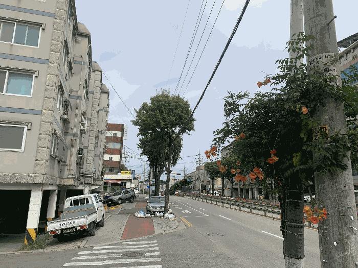 사진 08