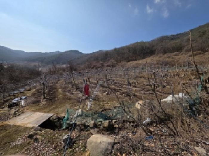 사진 06