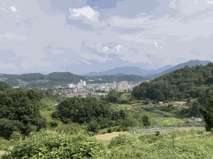 사진 05