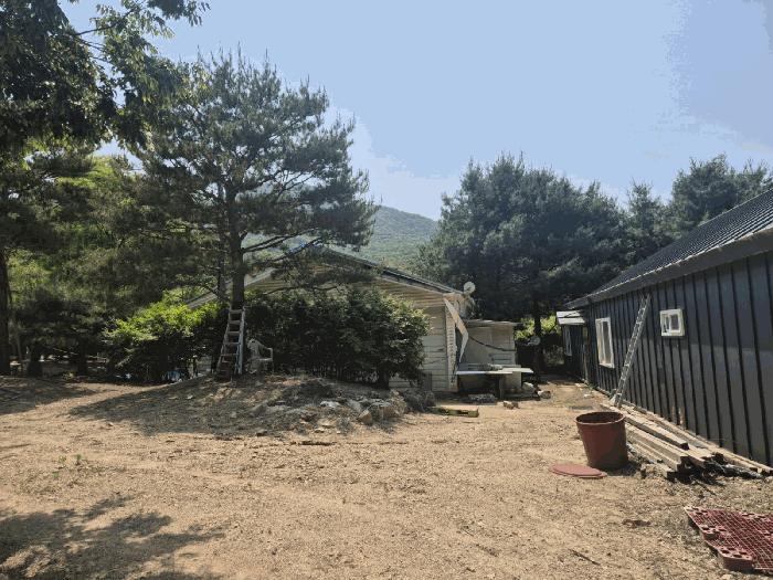 사진 05