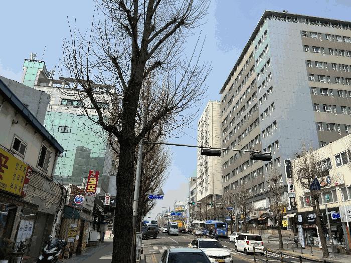 사진 07