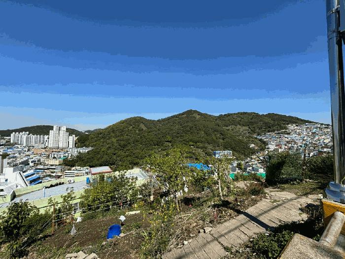사진 06