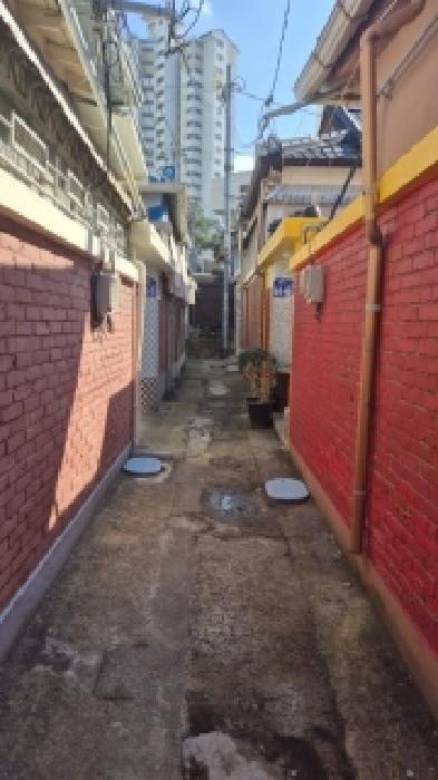 사진 06