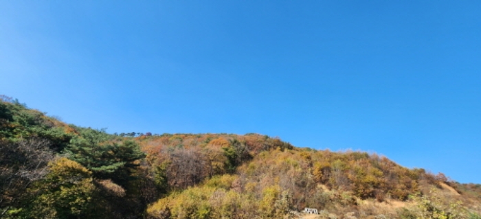 사진 04