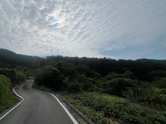 사진 03