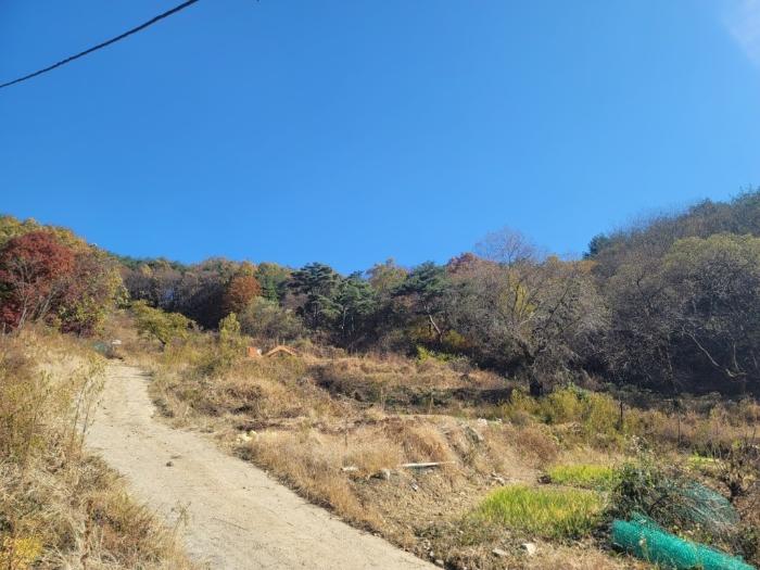 사진 05