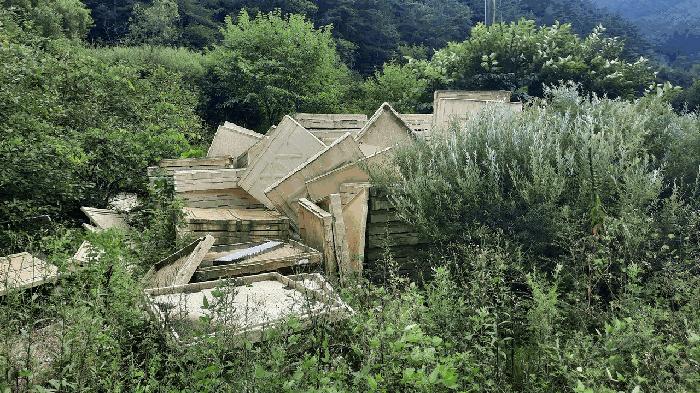 사진 03