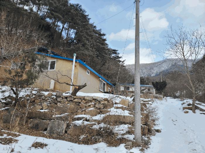 사진 03