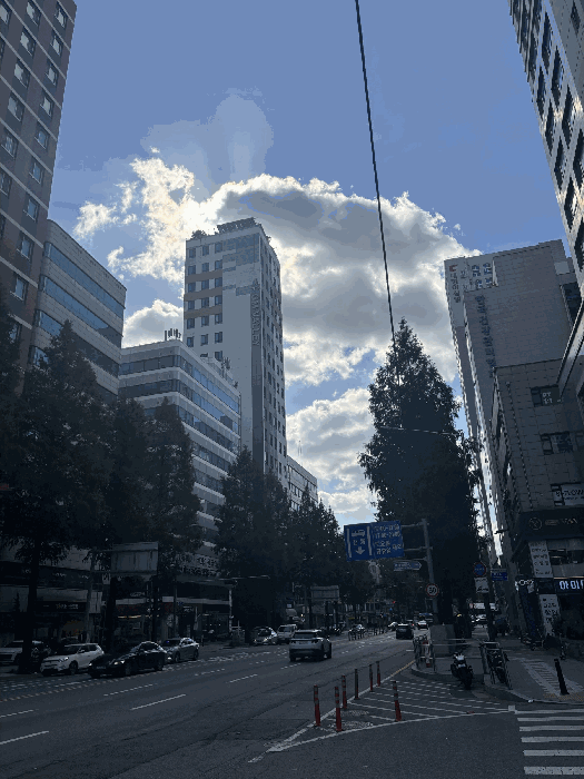 사진 05