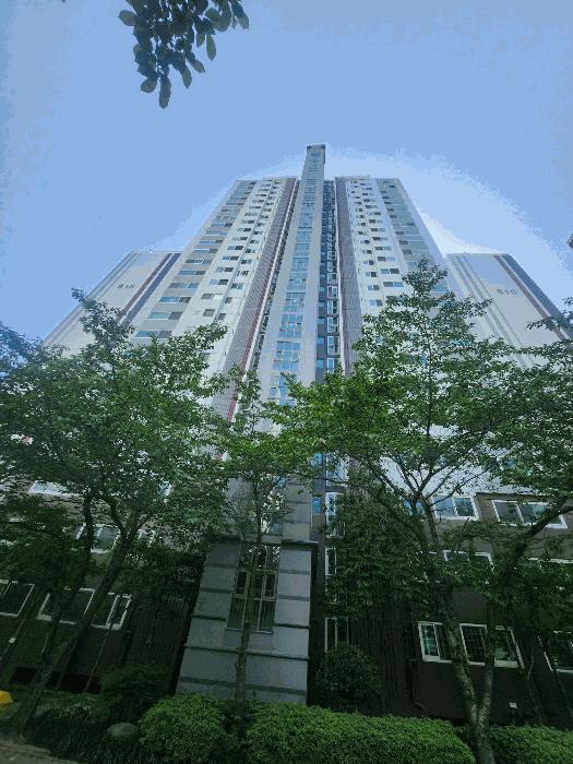 사진 03
