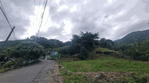 사진 01