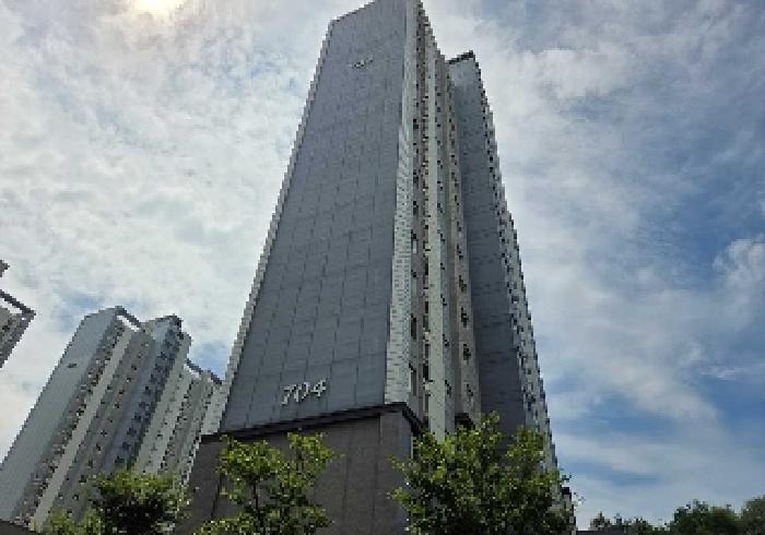 사진 01