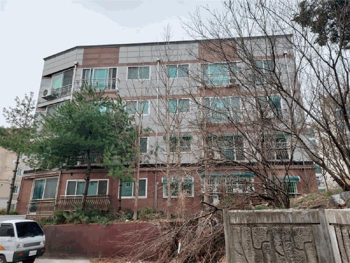 사진 03