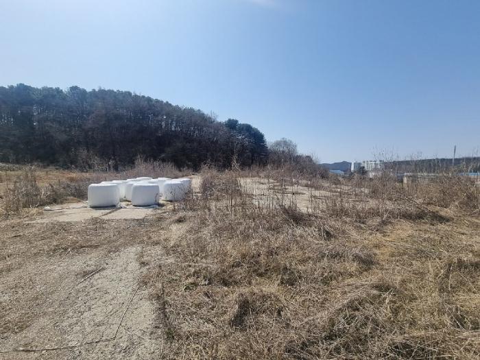 사진 04
