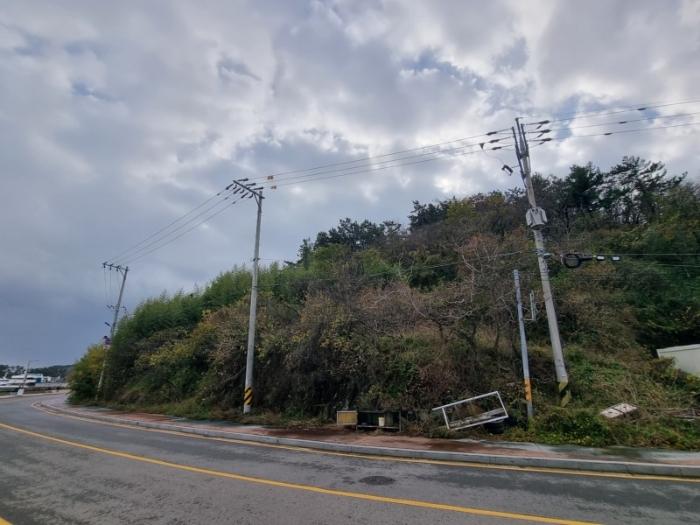 사진 06