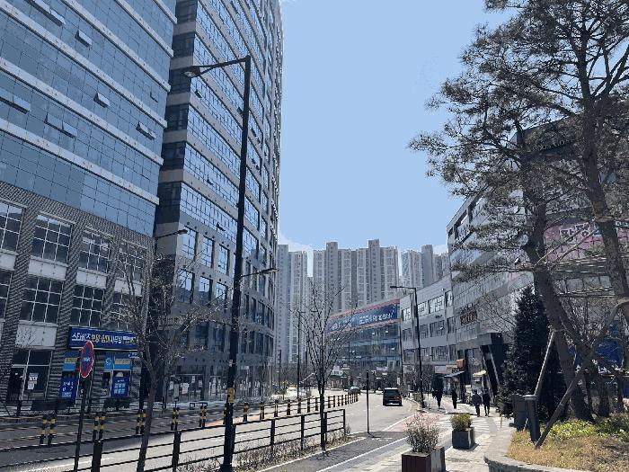 사진 05