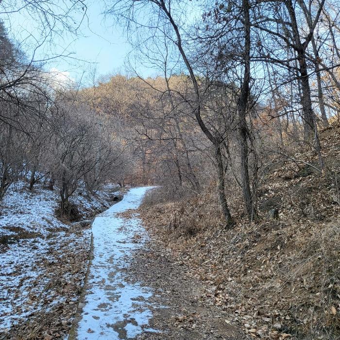 사진 02