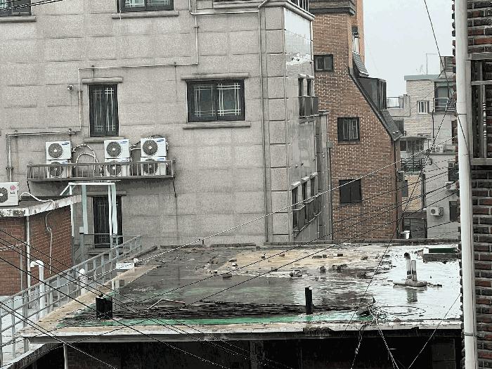 사진 06