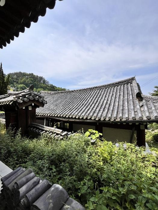 사진 03