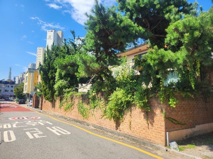 사진 02