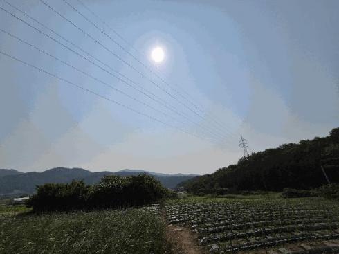 사진 04