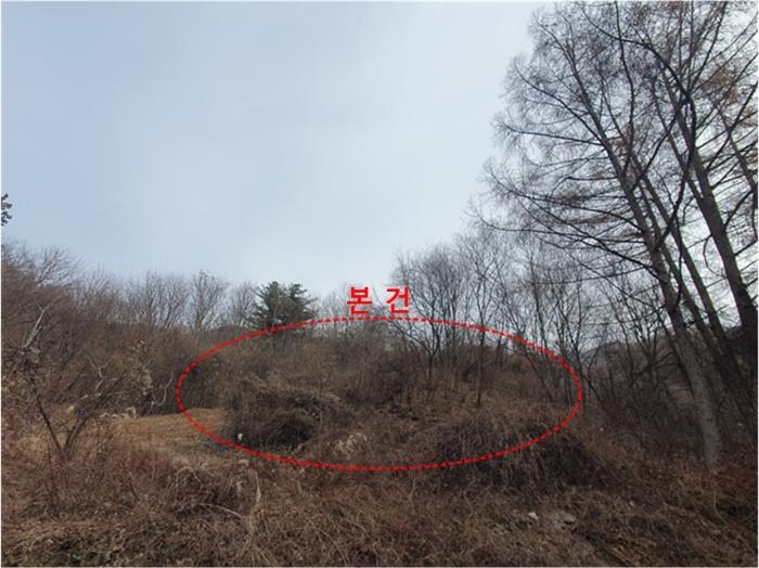 사진 02