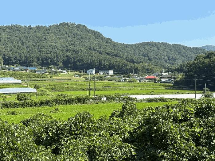 사진 05