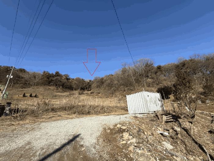 사진 03
