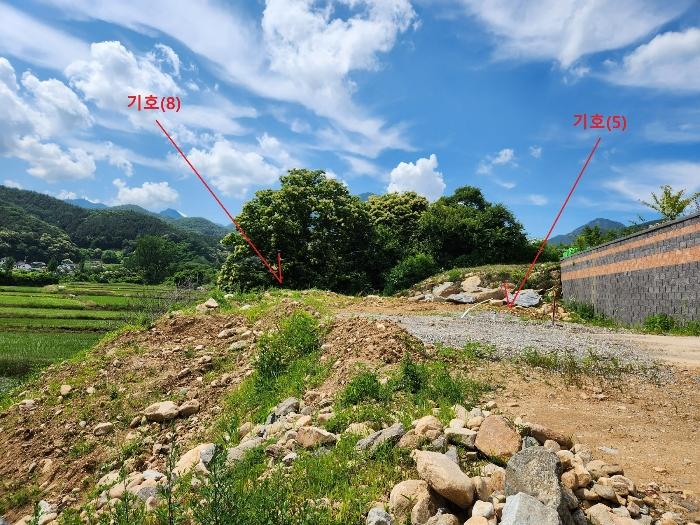 사진 02