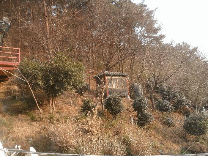 사진 08