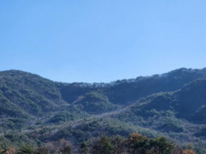 사진 06
